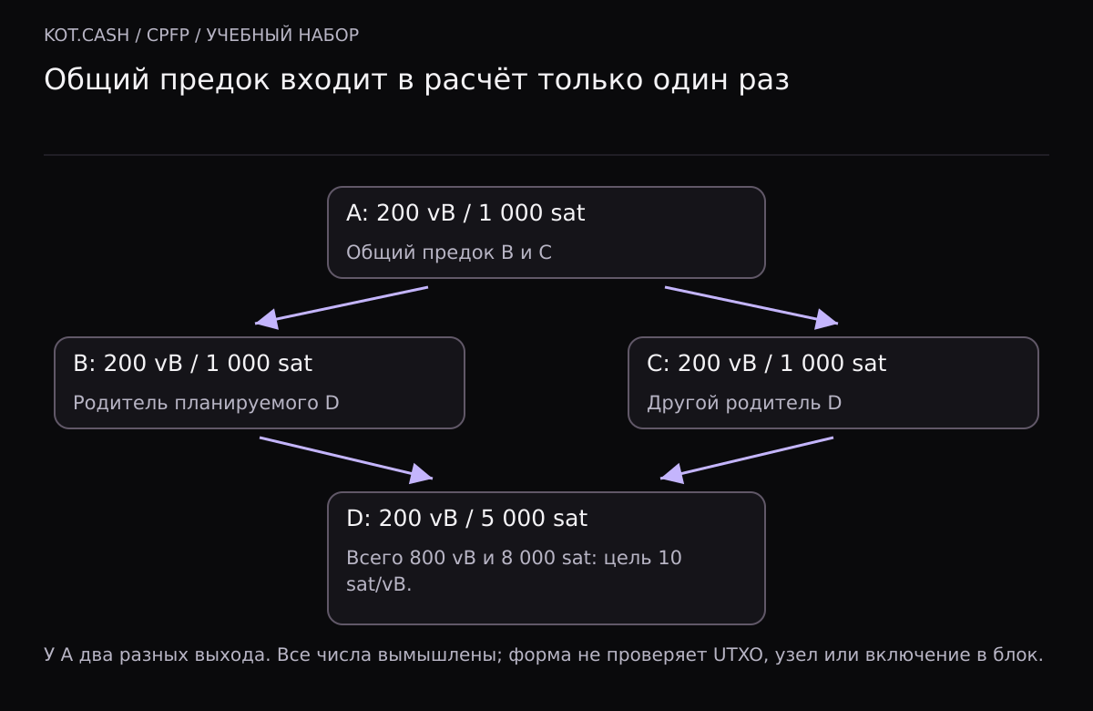 В учебном графе A является общим предком B и C, а D зависит от B и C. Размер каждой транзакции 200 vB. Комиссии A, B и C по 1000 sat учитываются по одному разу, потомок D добавляет 5000 sat, всего 8000 sat на 800 vB.
