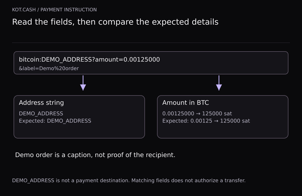 The demonstration bitcoin:DEMO_ADDRESS instruction with amount=0.00125000 is split into an address string and 125000 satoshis. Expected details match; the Demo order label does not verify the recipient.
