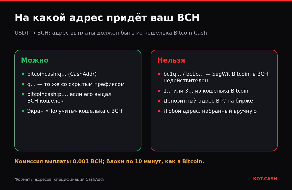 Две колонки: какие адреса Bitcoin Cash подходят для выплаты USDT → BCH и какие адреса Bitcoin использовать нельзя.