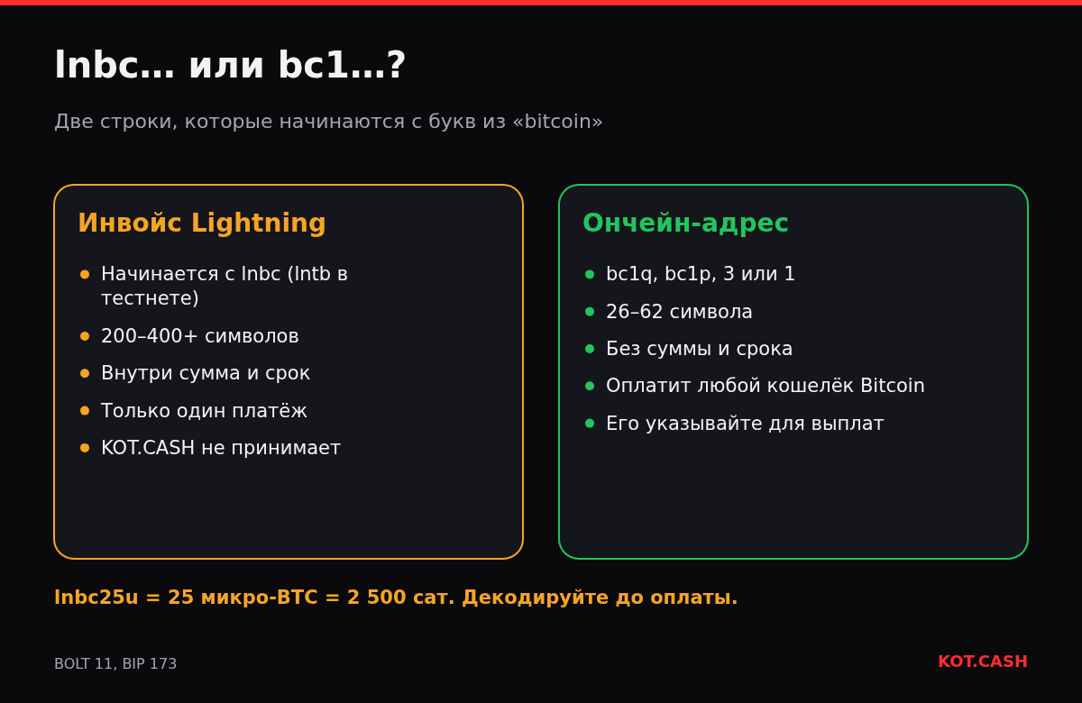 Сравнение инвойса Lightning BOLT11 и ончейн-адреса Bitcoin: префикс, длина, сумма, срок и где что используется.