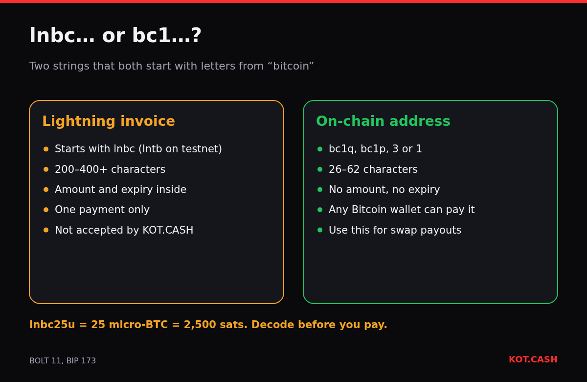 Comparison of a Lightning BOLT11 invoice and an on-chain Bitcoin address: prefix, length, amount, expiry and where each is used.