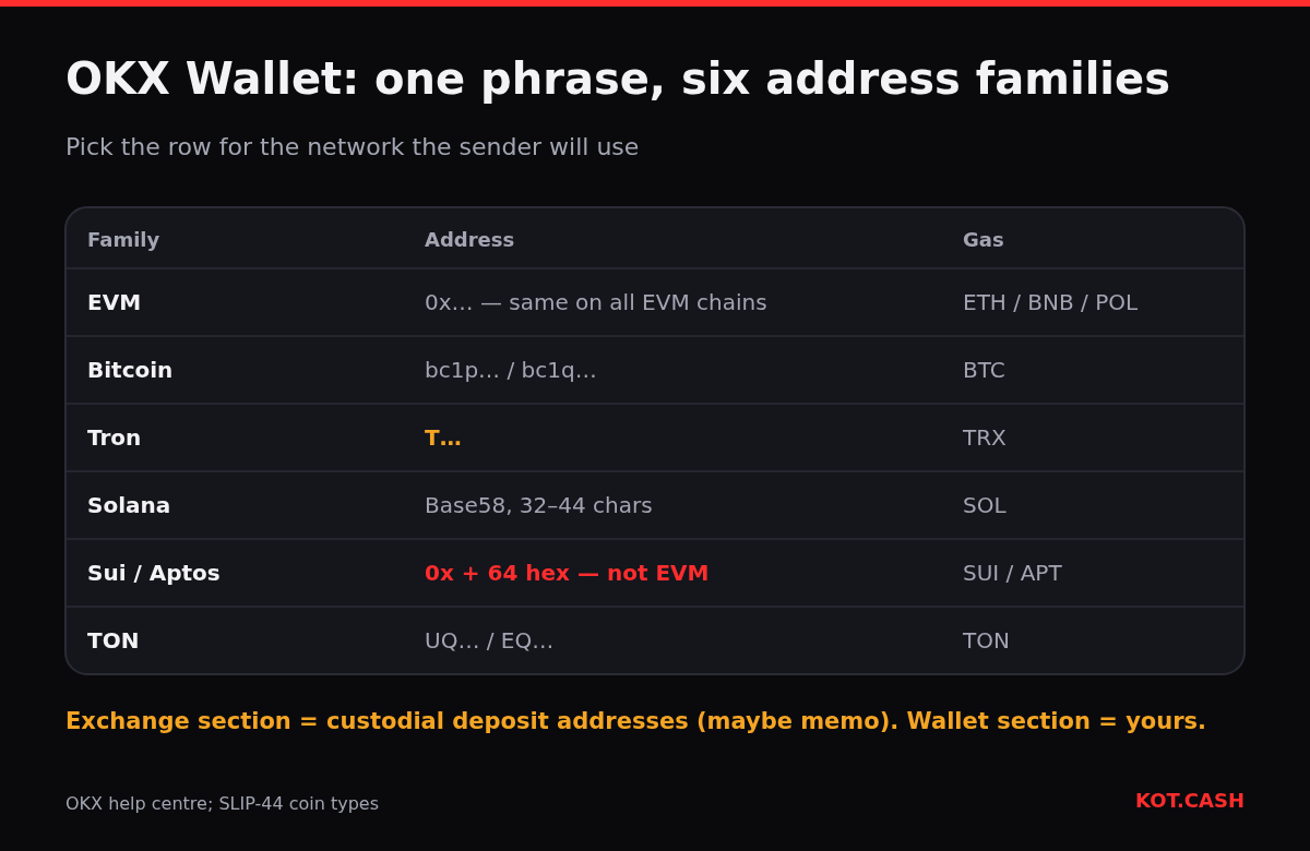 Table of address families in OKX Wallet: EVM 0x, Bitcoin bc1, Tron T, Solana Base58, Sui and Aptos 64-hex 0x, TON UQ or EQ, with gas coins.