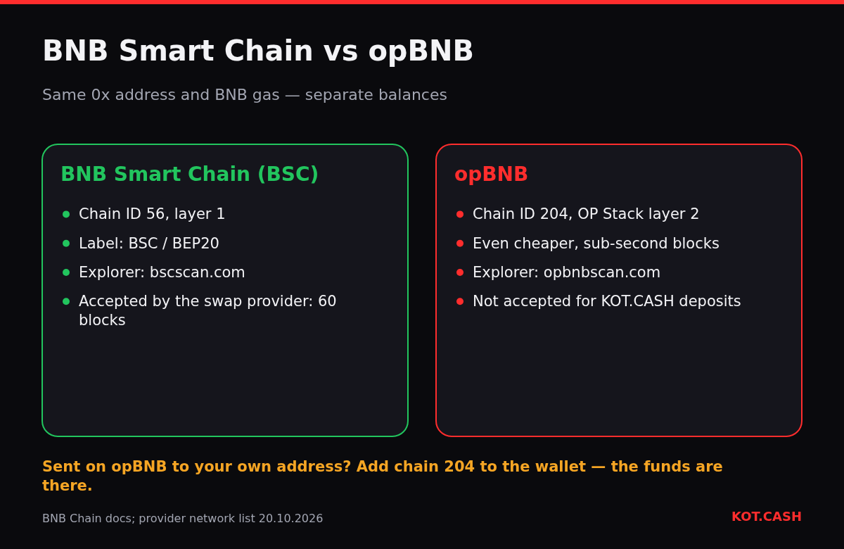 Comparison of BNB Smart Chain with chain ID 56 and opBNB with chain ID 204: same address and gas token, separate balances, different explorers and support.