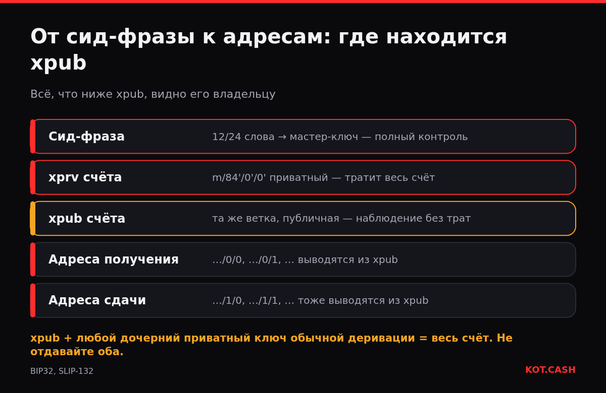 Схема от сид-фразы к приватному ключу счёта, xpub счёта, адресам получения и сдачи: что раскрывает xpub.