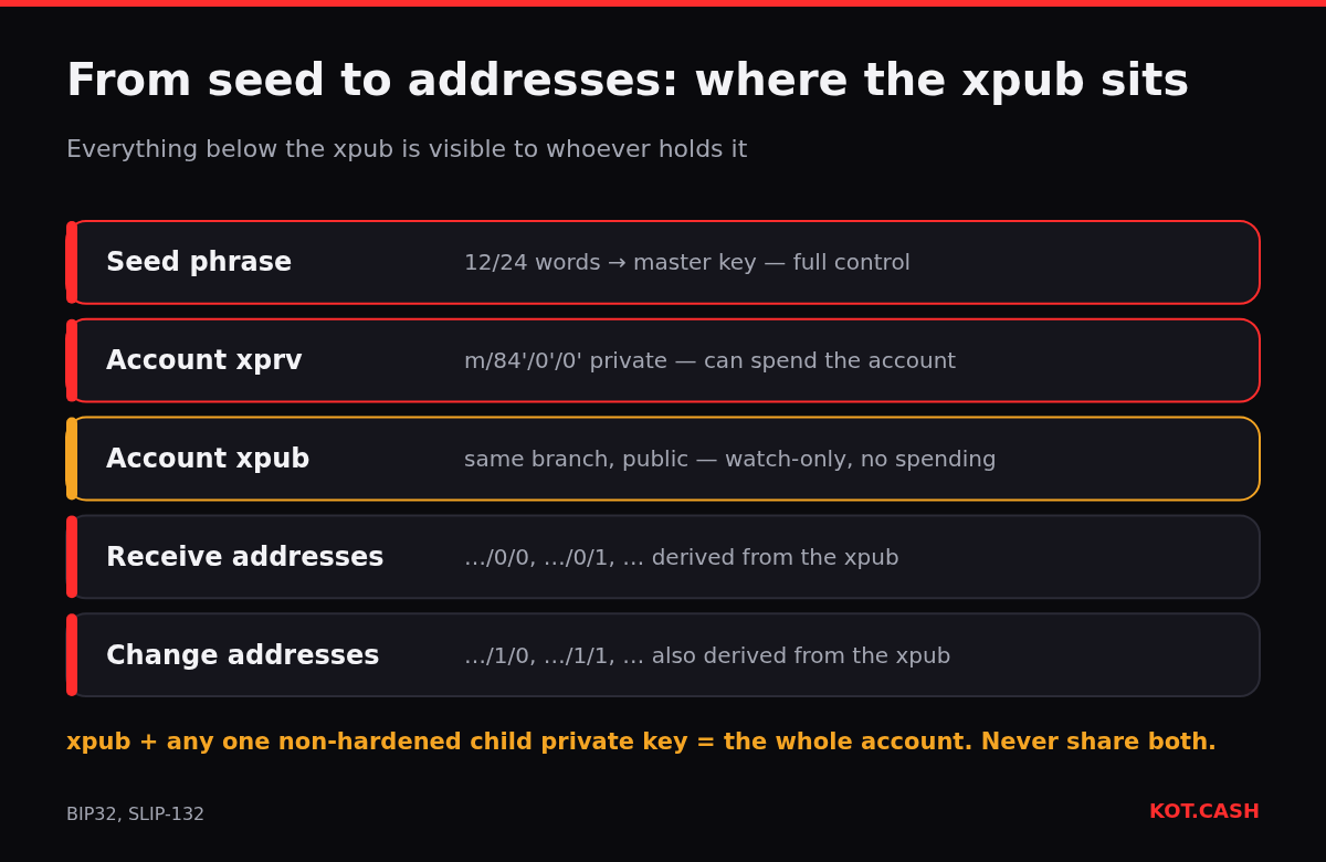 Stack diagram from seed phrase to account private key, account xpub, receive and change addresses, showing what the xpub reveals.