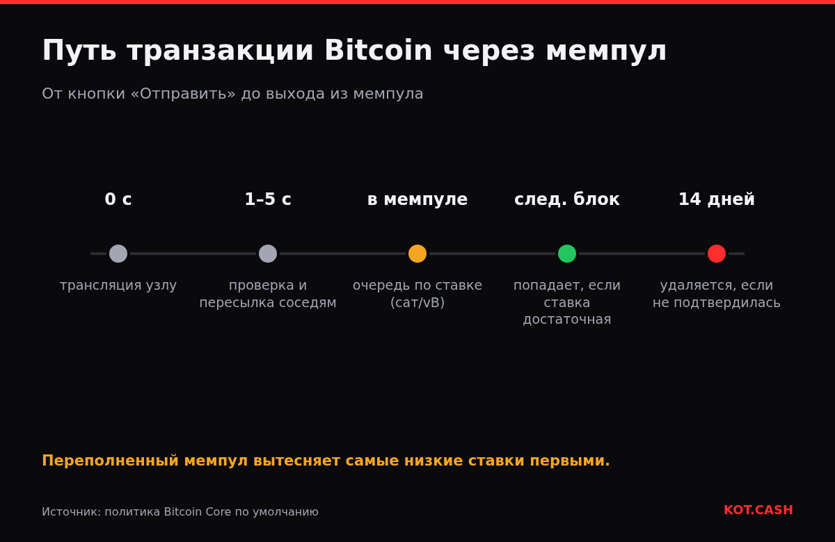 Шкала транзакции Bitcoin в мемпуле: трансляция, пересылка, ожидание по ставке, попадание в блок или удаление через 14 дней.